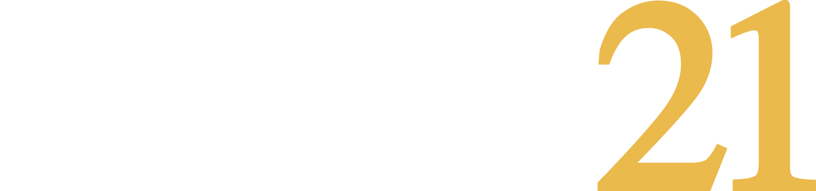 logo slot